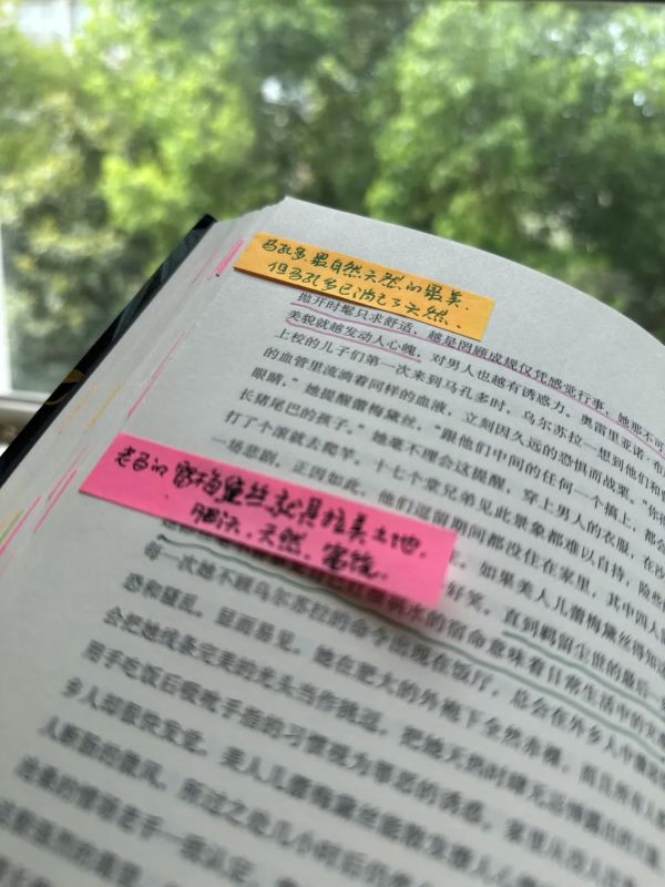 阅读|| 《百年孤独》之三：三角婚外恋