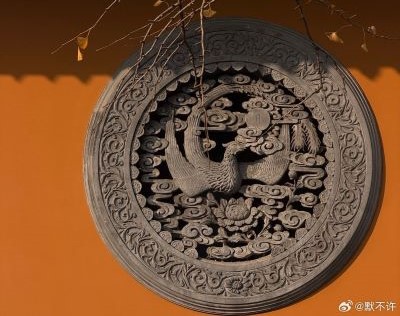 杂说 || 章泽天采访刘嘉玲