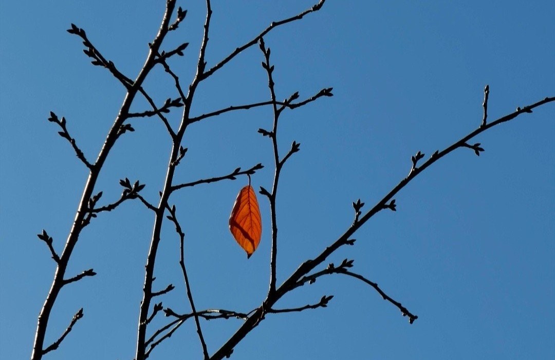 杂说 || 自我疗愈