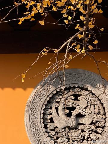 记录生活 || 上海龙华寺