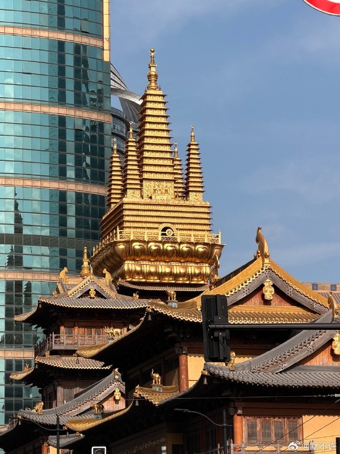 杂说 || 我等你你不来